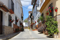 Macetas y flores lucen en las Calles Puerto y Santa Argentea